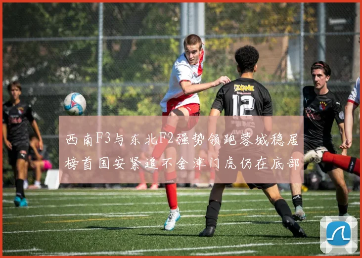 西南F3与东北F2强势领跑蓉城稳居榜首国安紧追不舍津门虎仍在底部挣扎