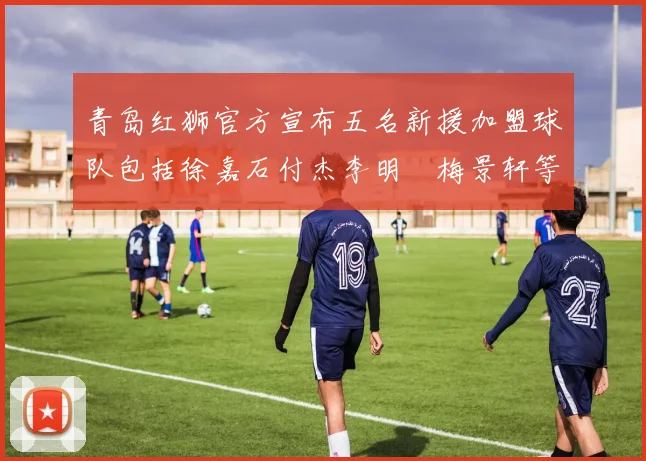 青岛红狮官方宣布五名新援加盟球队包括徐嘉石付杰李明璠梅景轩等球员